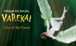 Cirque du Soleil - Varekai